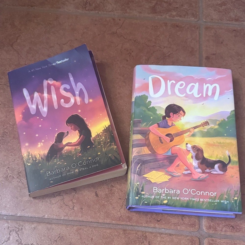 Wish and Dream Book Set